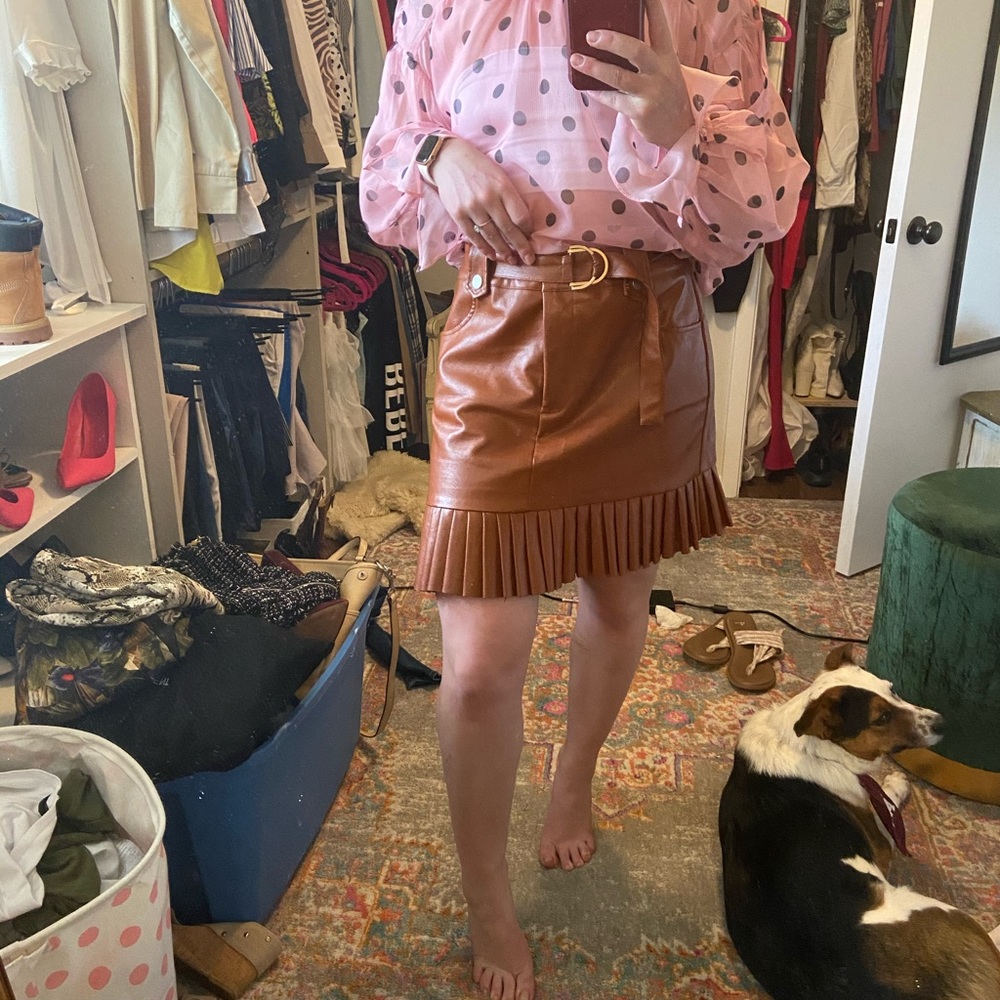 Zara Vegan Leather Skirt